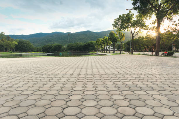 Best Interlocking Driveway Pavers  in Lake Ronkonkoma, NY